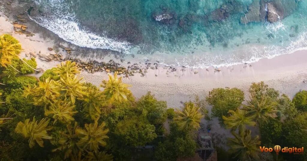 Principais serviços oferecidos por agências de marketing digital no Brasil.